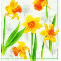 Салфетки 2-слоя 20 листов 33*33 "New Line" FRESCO НАРЦИССЫ  1/20
